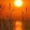 ComoMek's picture