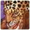 Davidprize's picture
