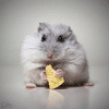 Afrrjunlom's picture
